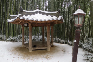 Korea and China: January 2017