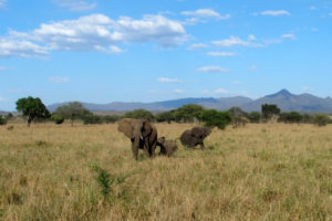 Uganda: Kidepo Game Reserve