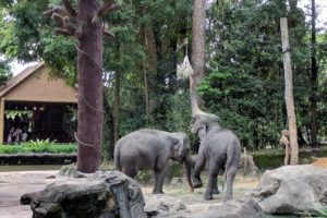 Singapore: November 2017